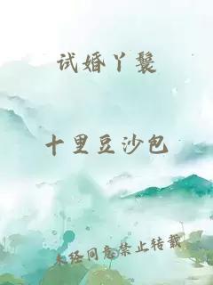 试婚丫鬟